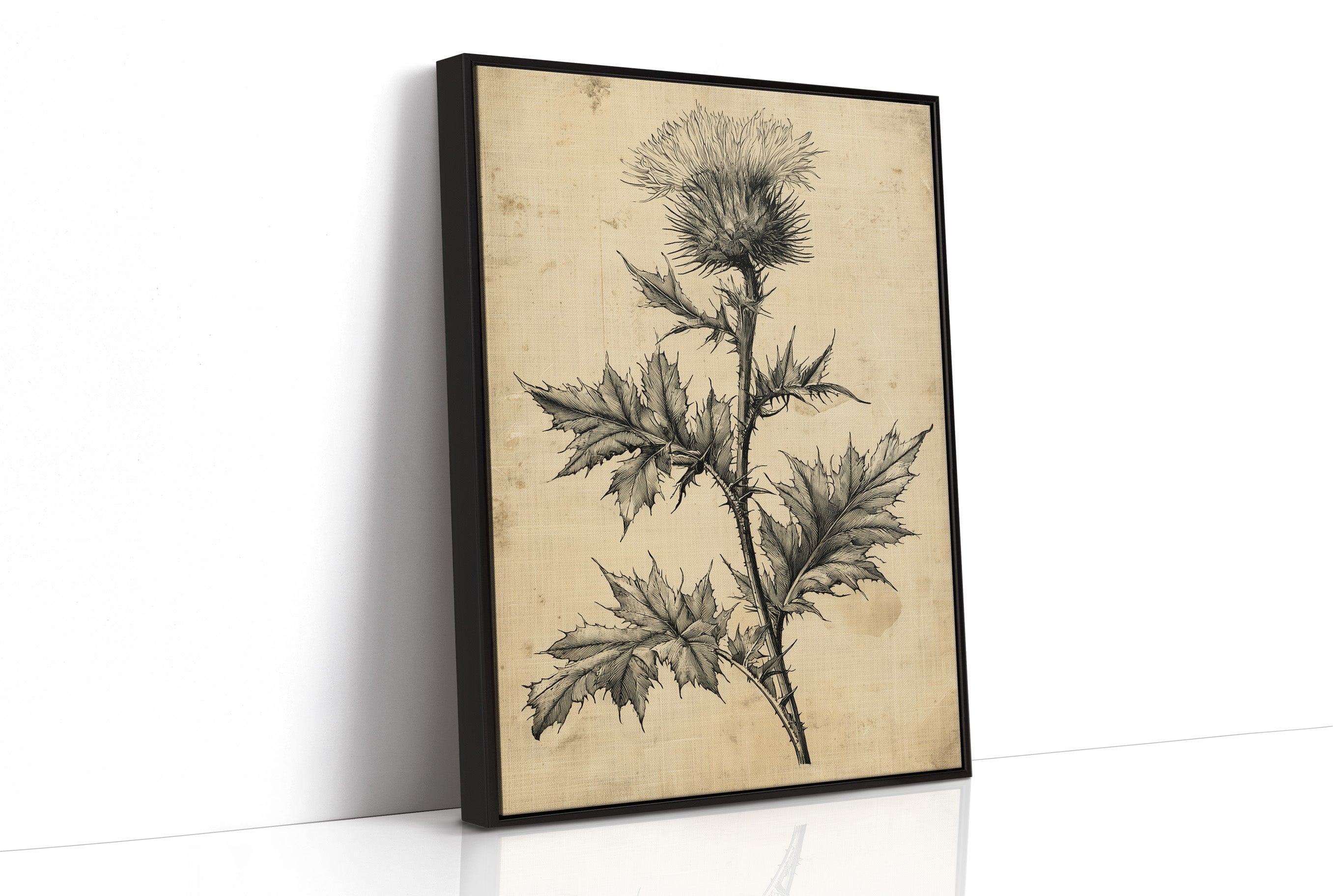 Thistle Study — Heavy Crosshatch Botanical Engraving