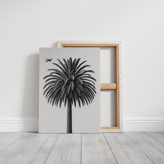 Palm Crown and Passing Plane