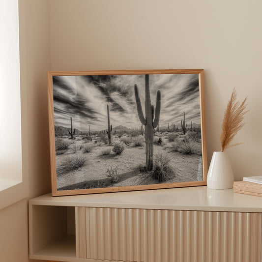 Saguaro Silence in Black and White