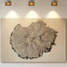 Timber Tales of Time