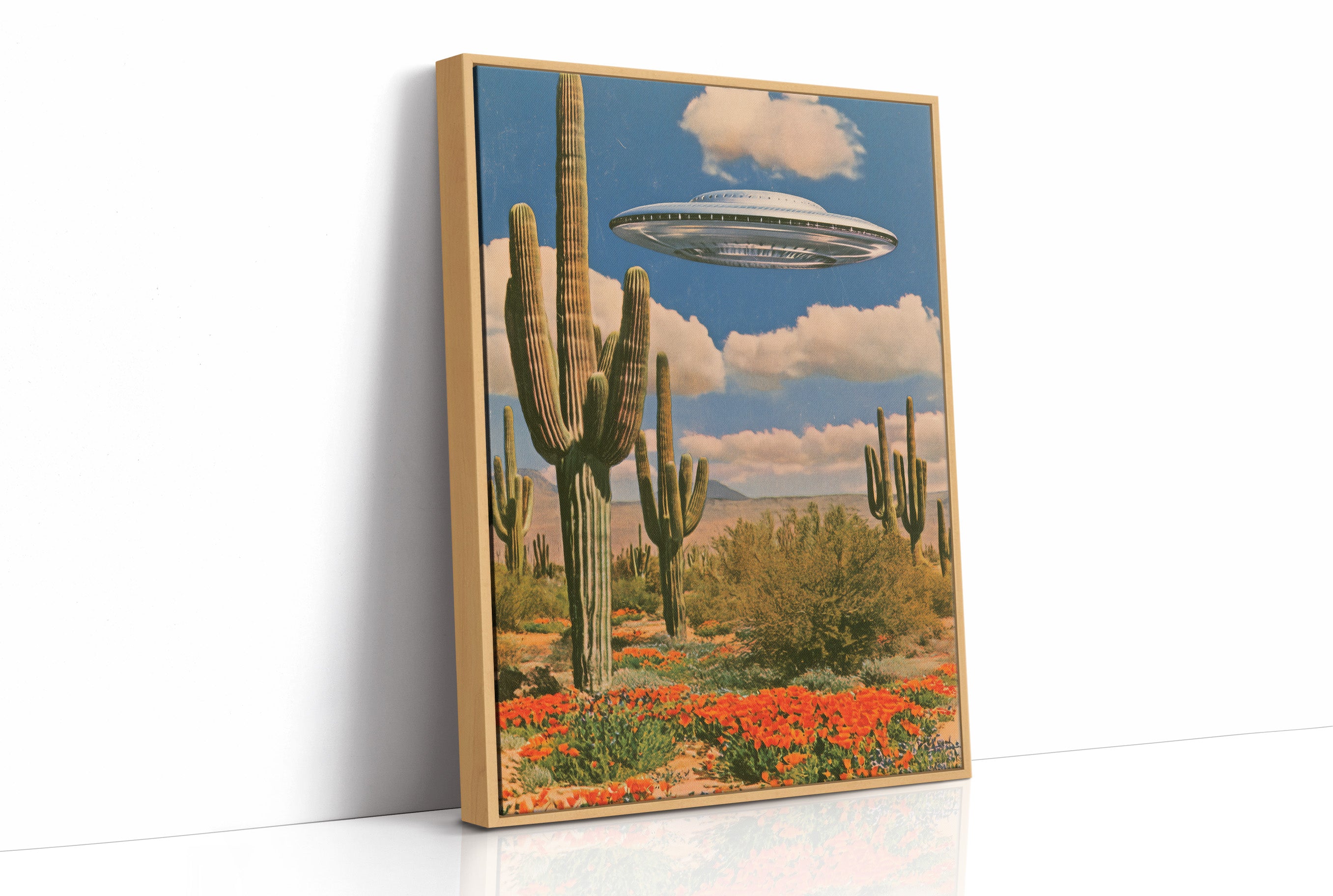 Sightings Over Saguaro Country