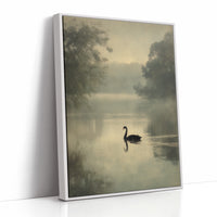 Lone Swan Crosses Misty Waters
