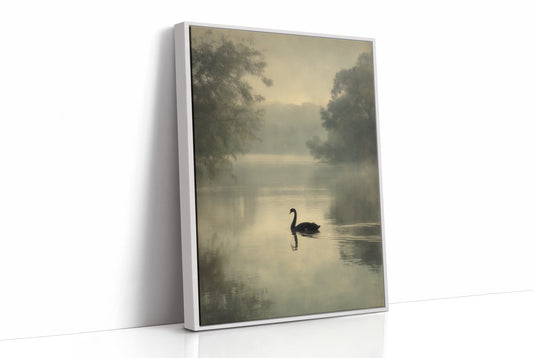 Lone Swan Crosses Misty Waters