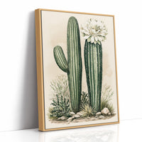 Blooming Saguaro: A Desert Garden Study
