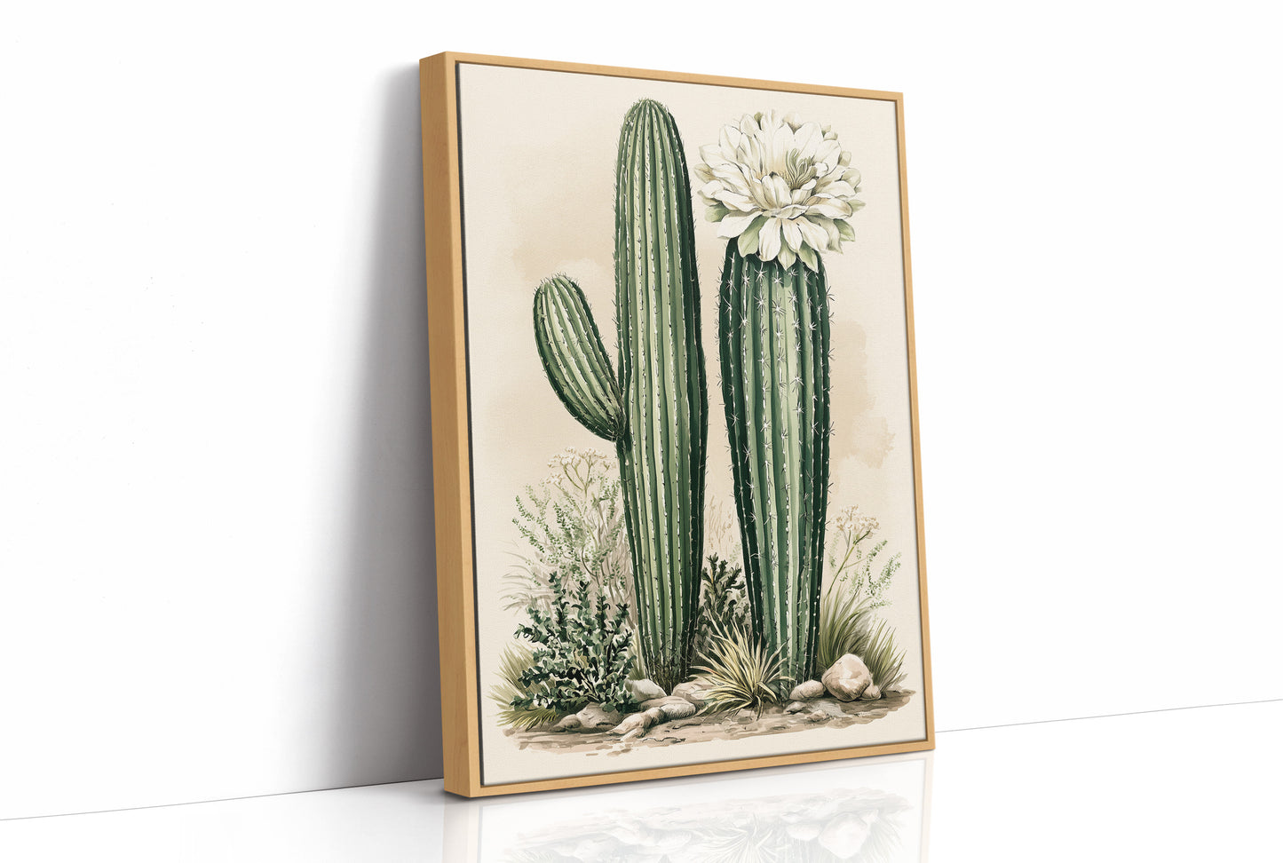 Blooming Saguaro: A Desert Garden Study