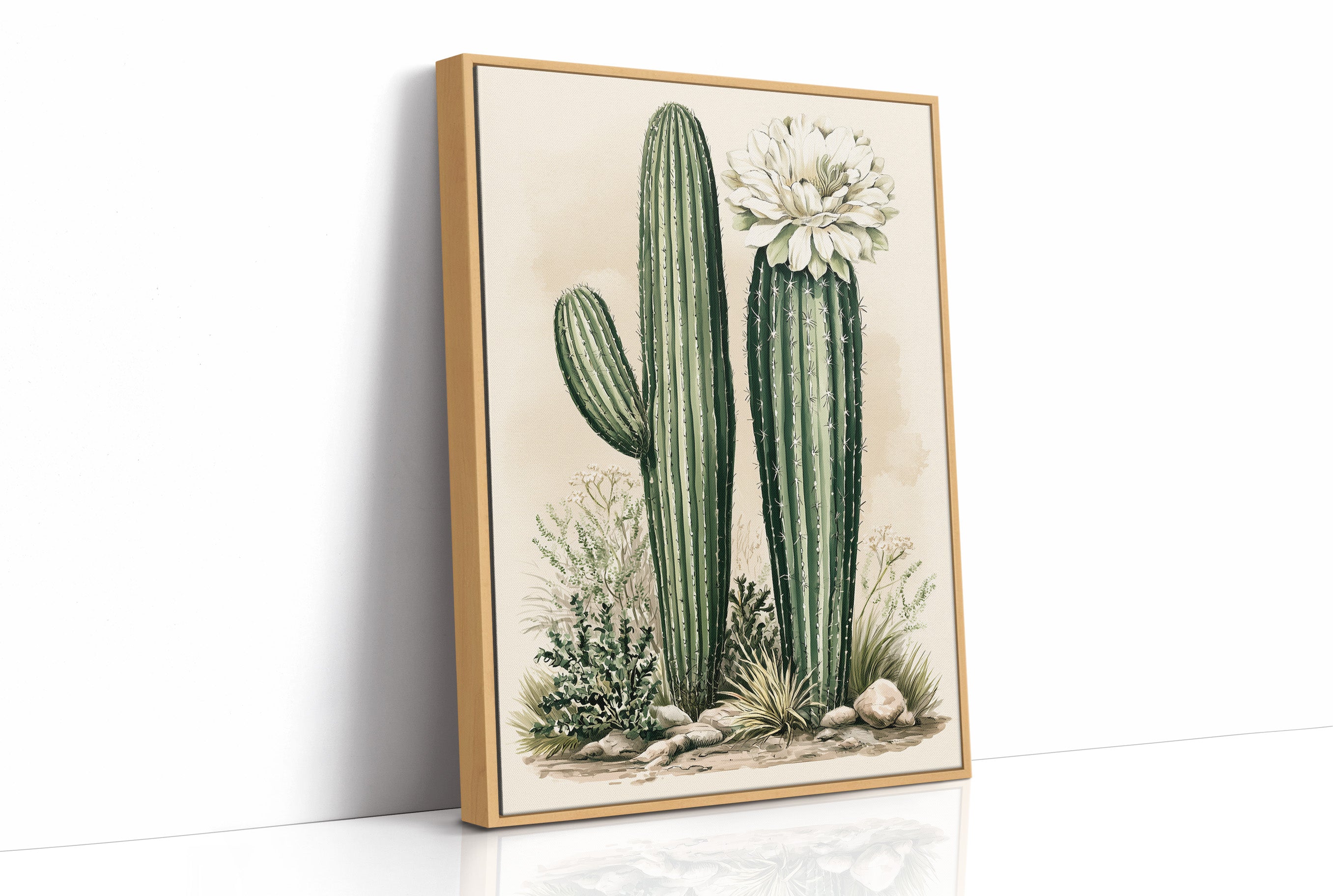 Blooming Saguaro: A Desert Garden Study