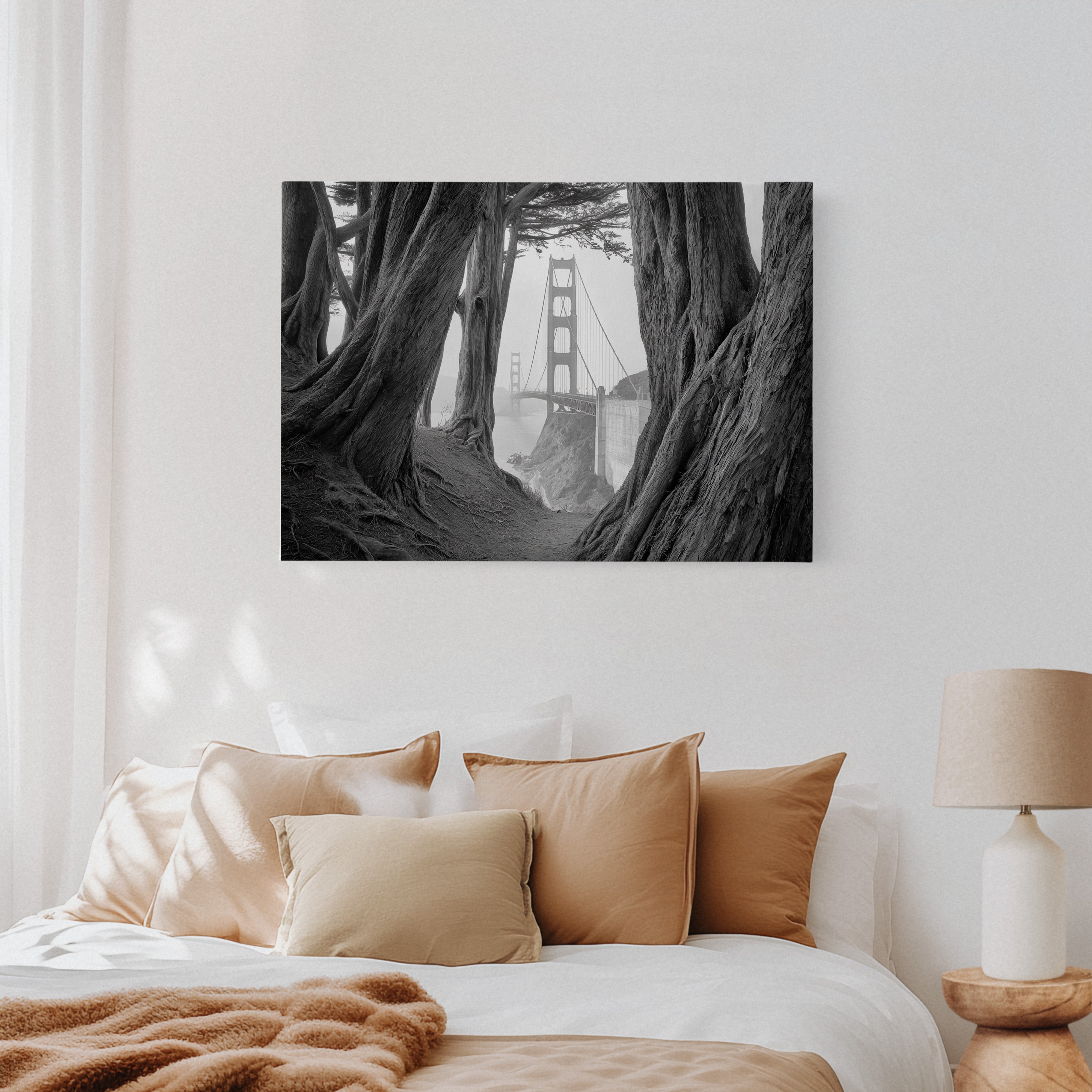 Ancient Trees Frame City Dreams