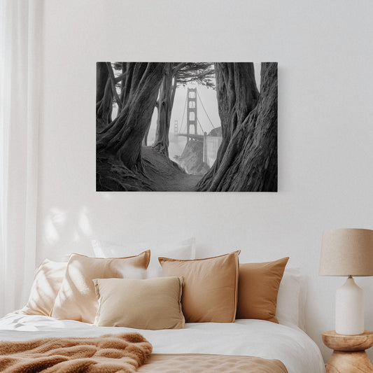 Ancient Trees Frame City Dreams