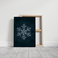 Frost Builds Its Cathedral Slowly