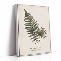 Vintage Herbarium