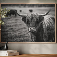 Gaze of the Highland Guardian