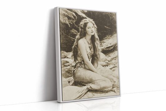 Vintage Waves Against Rocky Shore