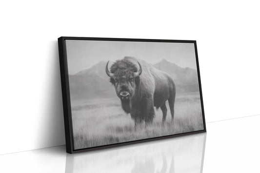 Prairie Kings Remember Their Throne