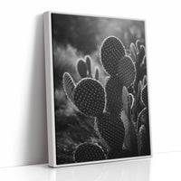 Moonlit Thorns Tell Desert Tales
