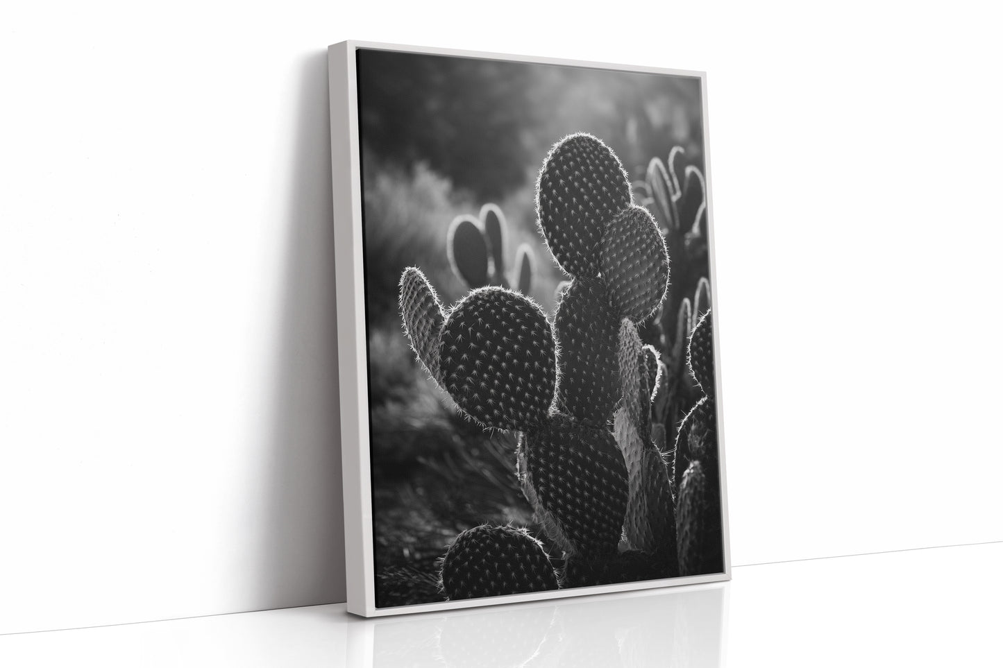 Moonlit Thorns Tell Desert Tales
