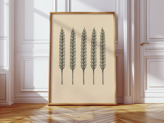 Five Loaves Botanical Wheat Illustration