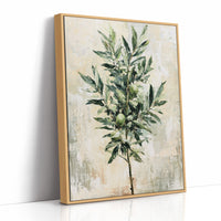 Olive Branch, Fruit and Leaf
