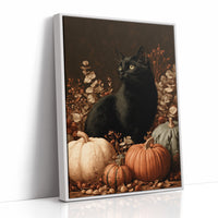 Black Cat and the Heirloom Pumpkins
