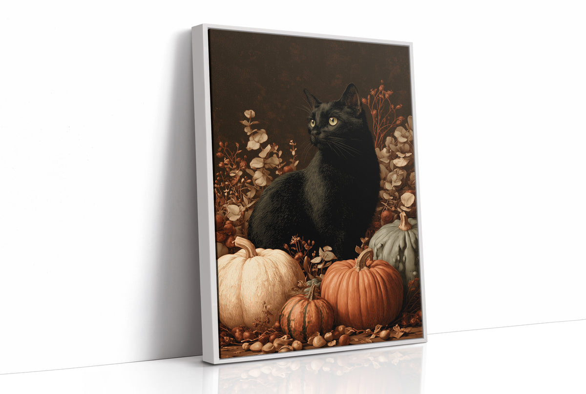 Black Cat and the Heirloom Pumpkins