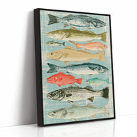 Catch of the Day: A Vintage Fish Chart
