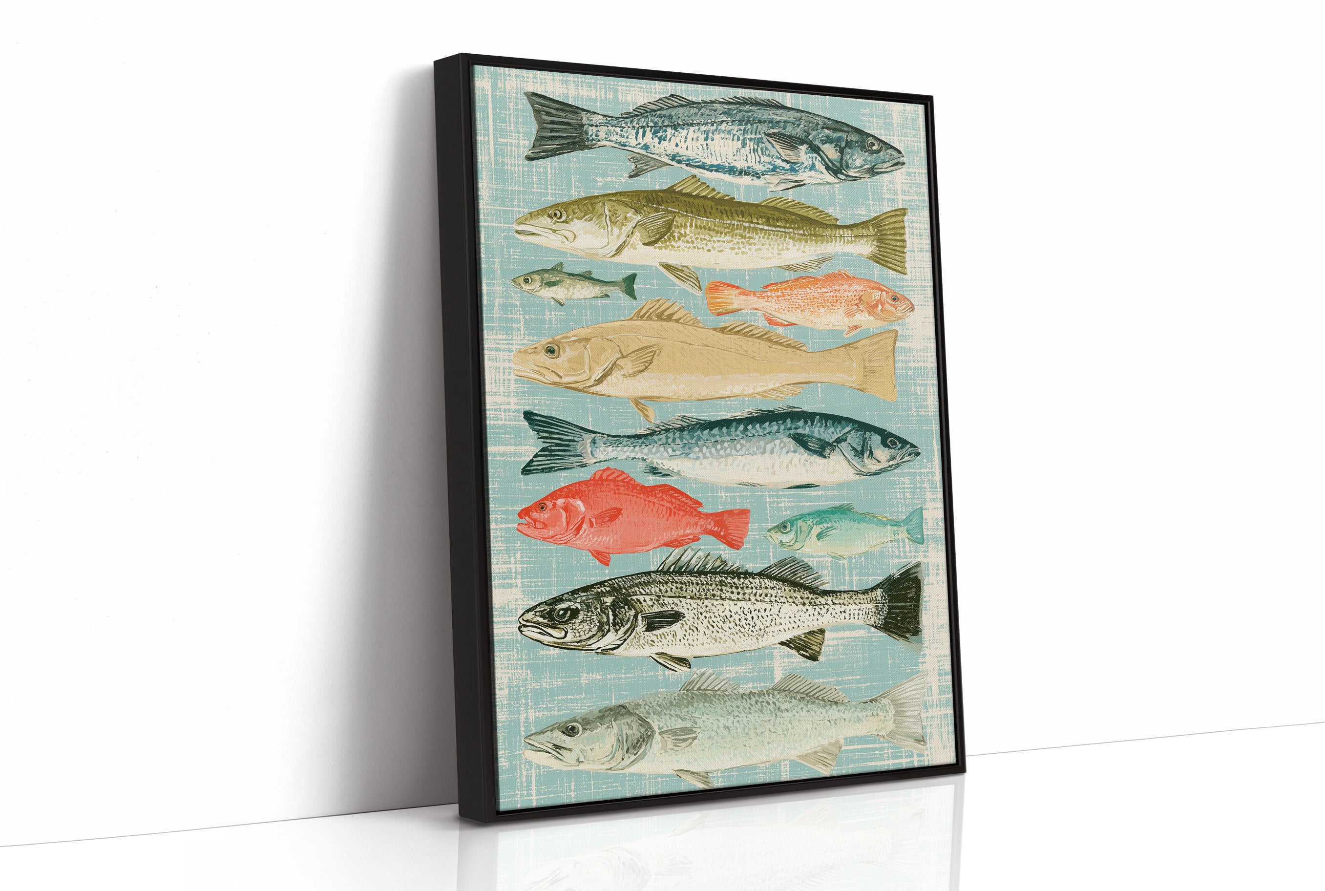Catch of the Day: A Vintage Fish Chart