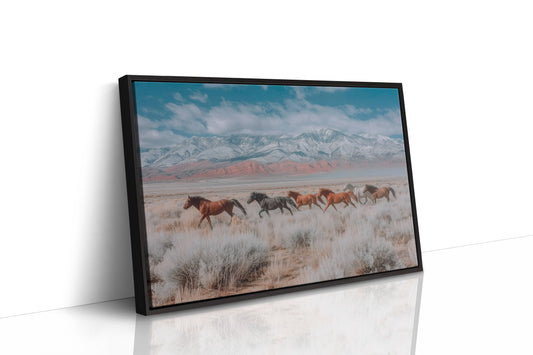 Wild Hearts Race Against Snow Peaks