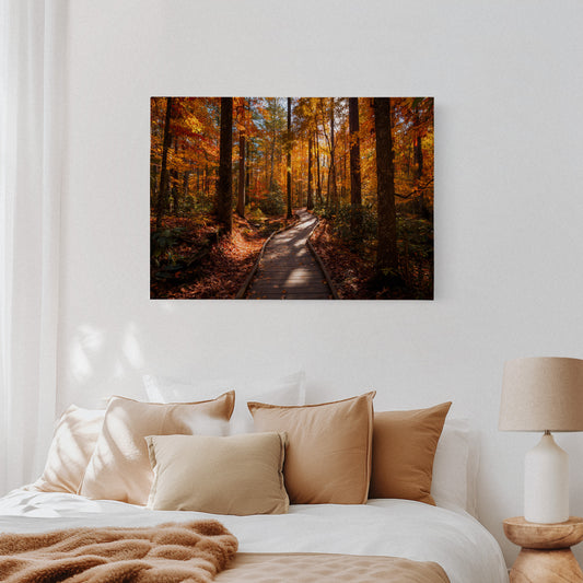 Autumn Path Weaves Golden Stories