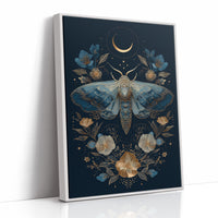 Midnight Moth Dances With Stars