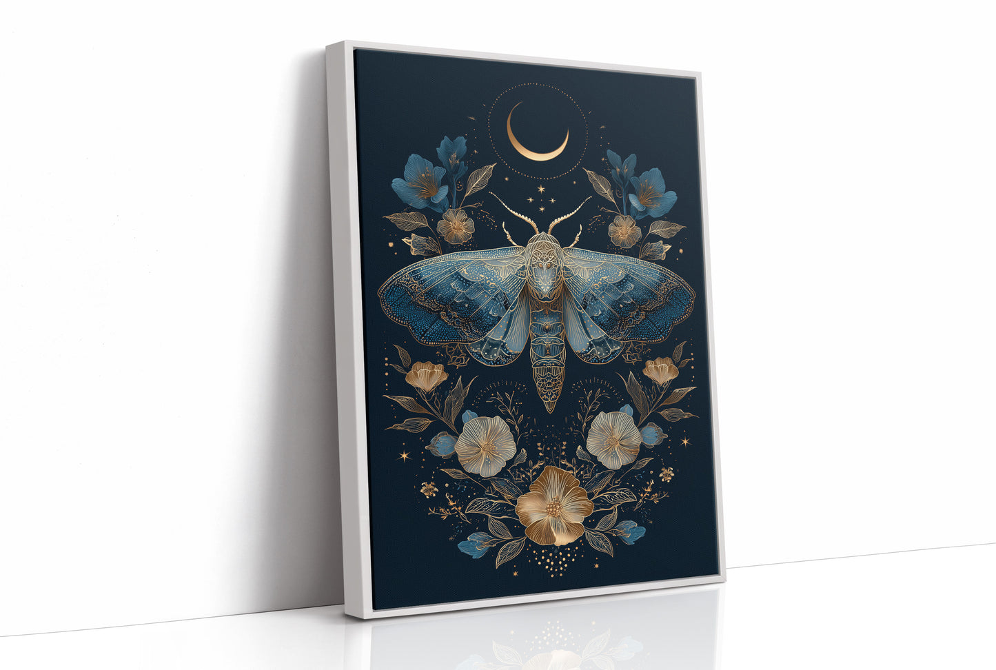 Midnight Moth Dances With Stars