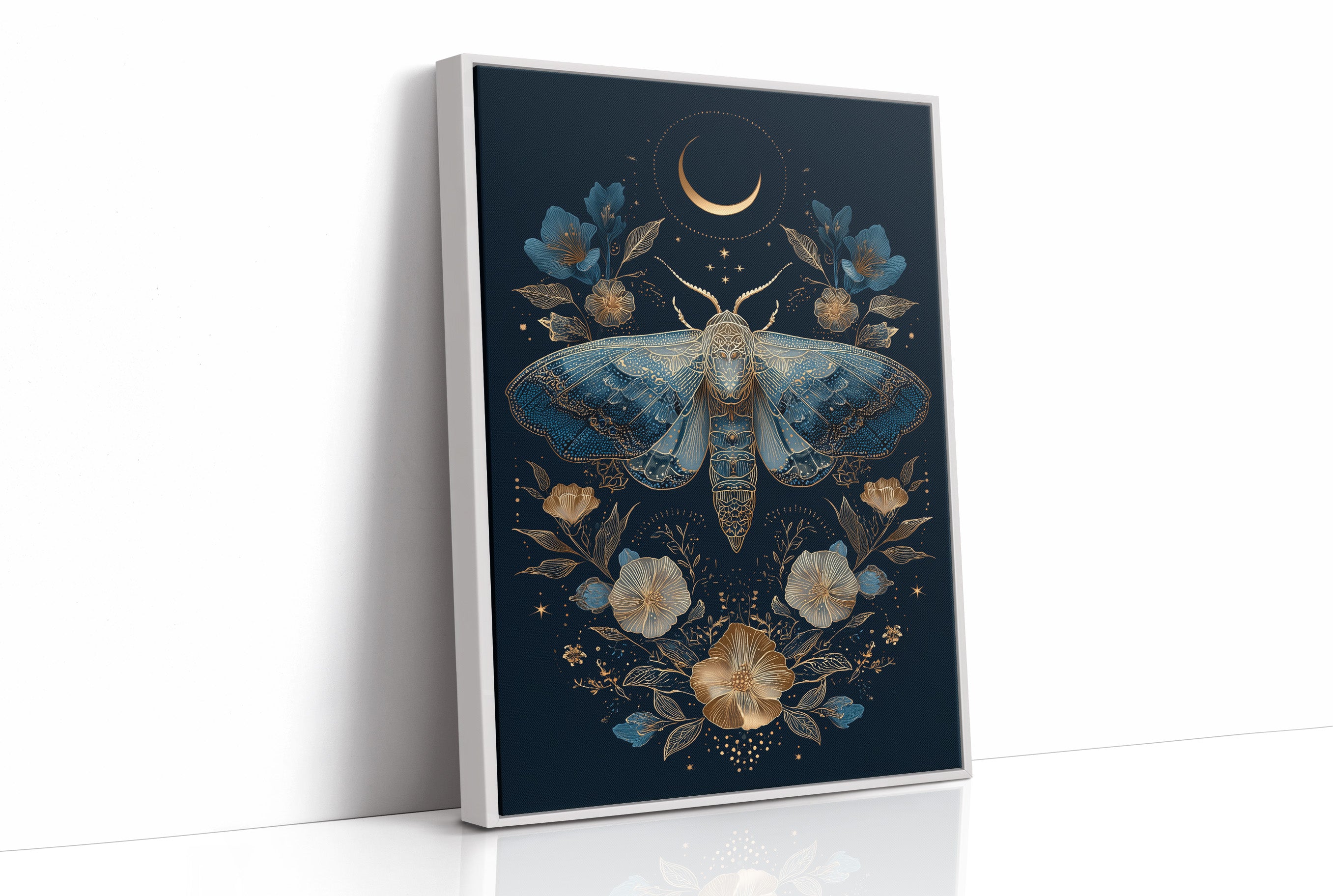 Midnight Moth Dances With Stars