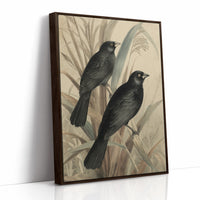 Midnight Perch Among Reeds