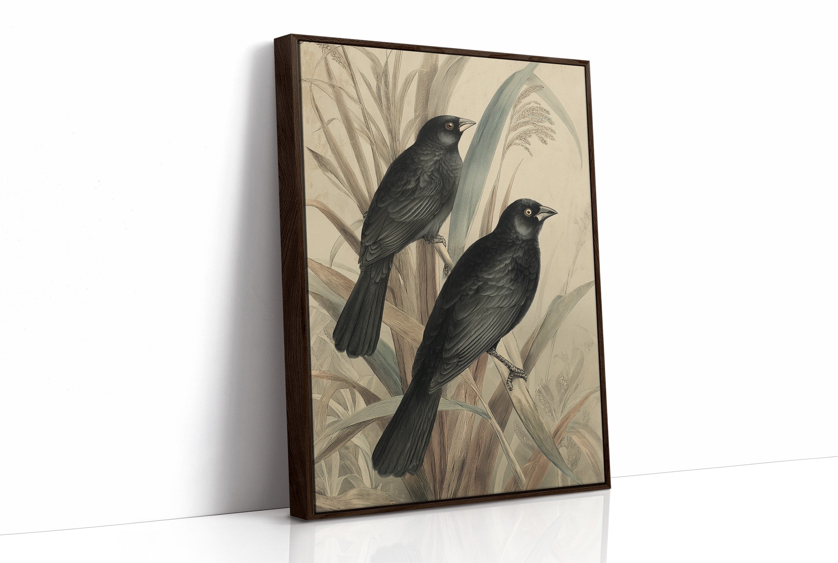 Midnight Perch Among Reeds