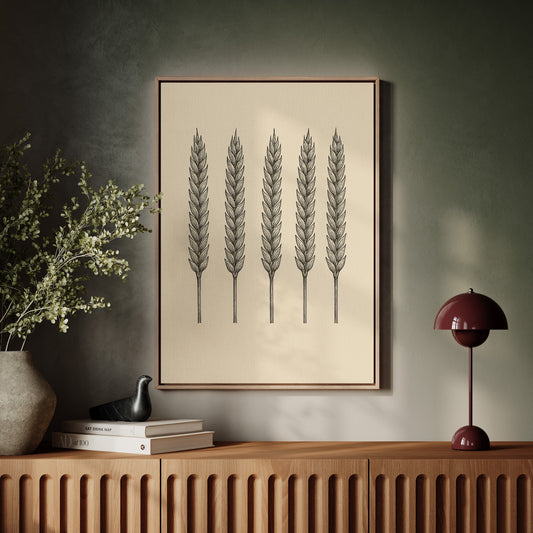 Five Loaves Botanical Wheat Illustration