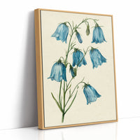 Bell Bottom Blues: A Bluebell Study