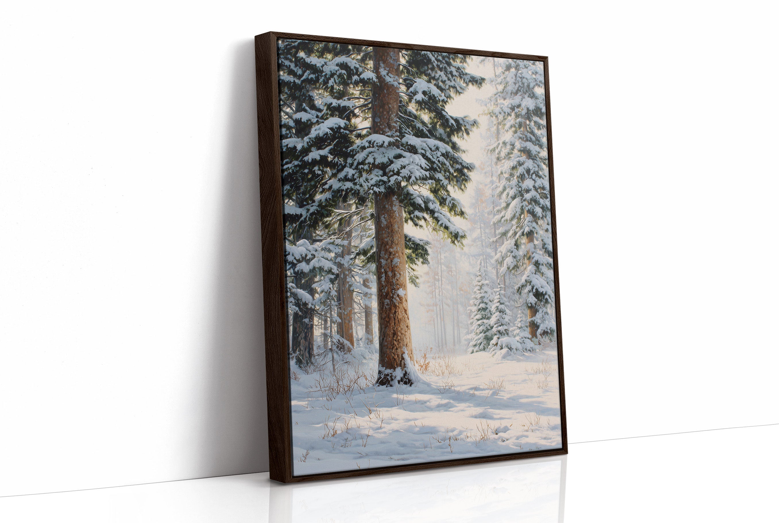 Snow Dusts Ancient Forest Paths