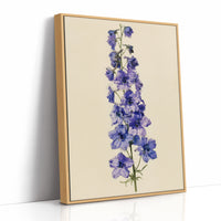 Delphinium Dreams: A Purple Study