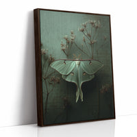 Lunar Moth Among Faded Stems