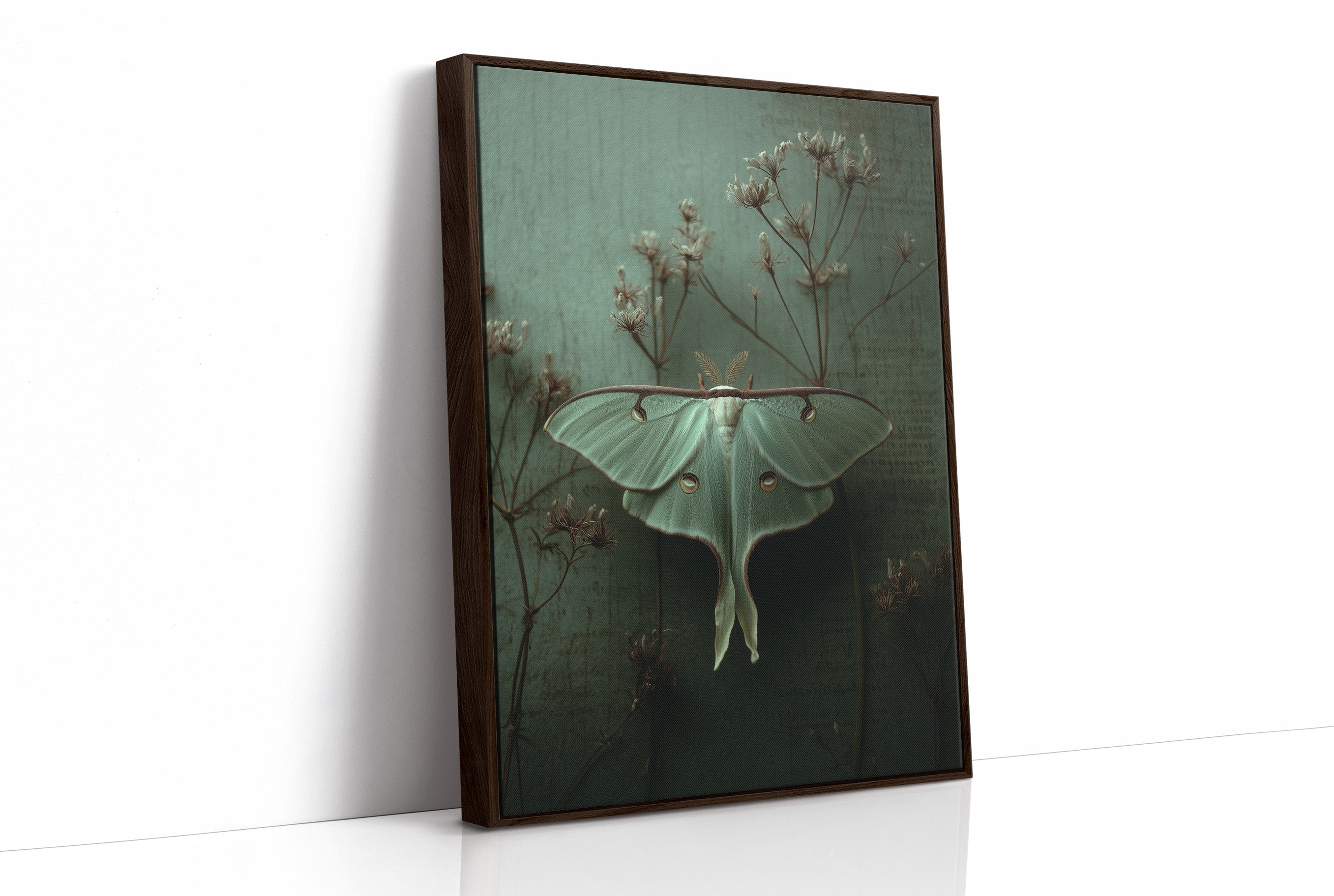 Lunar Moth Among Faded Stems