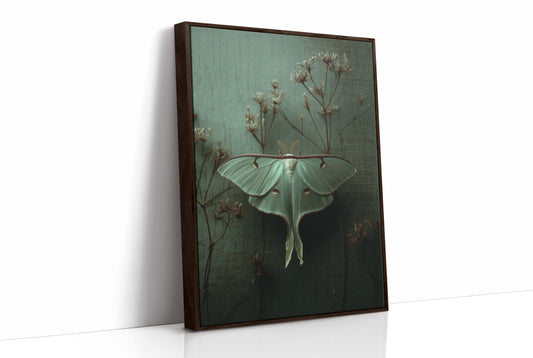 Lunar Moth Among Faded Stems