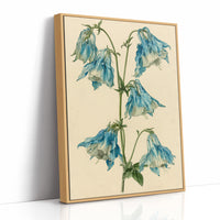 Nodding Blues: A Columbine Study
