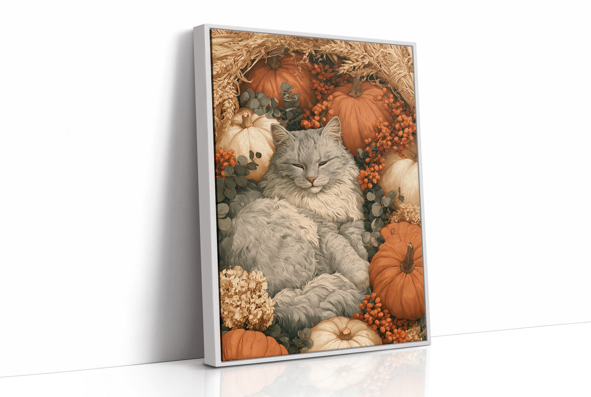 Dozing in the Pumpkin Patch