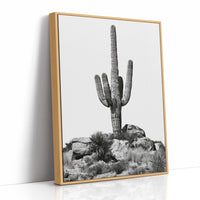 Lone Saguaro Standing Tall