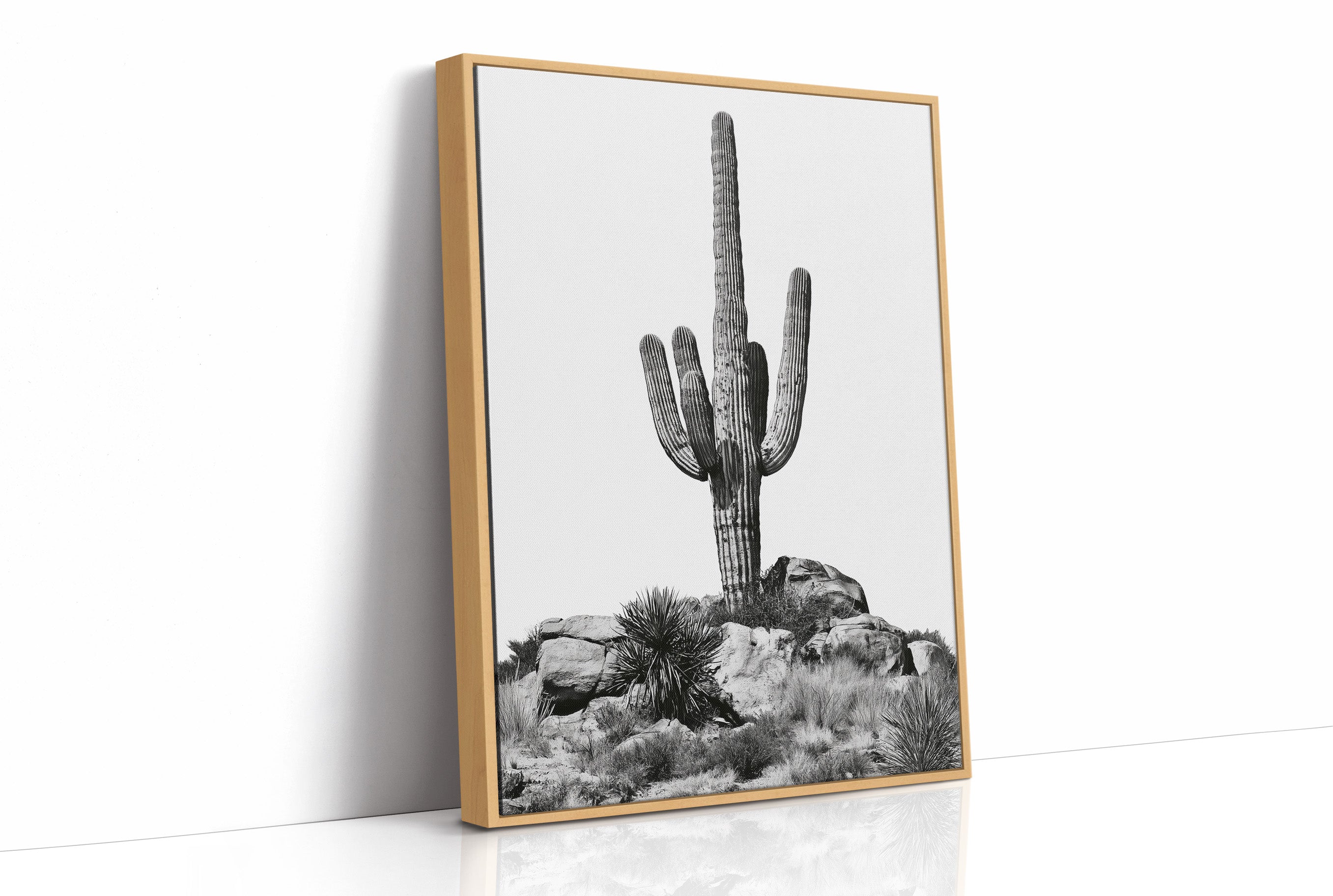 Lone Saguaro Standing Tall