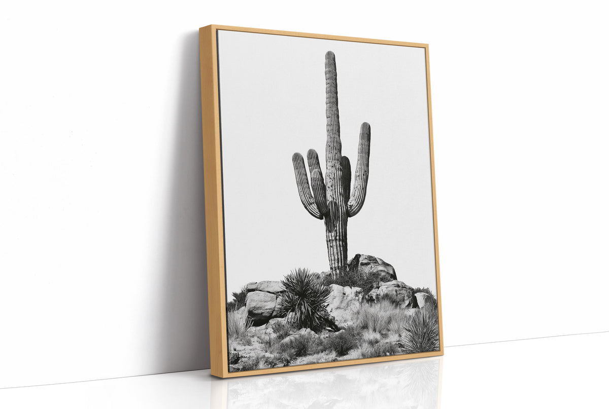 Saguaro Standing Sentinel