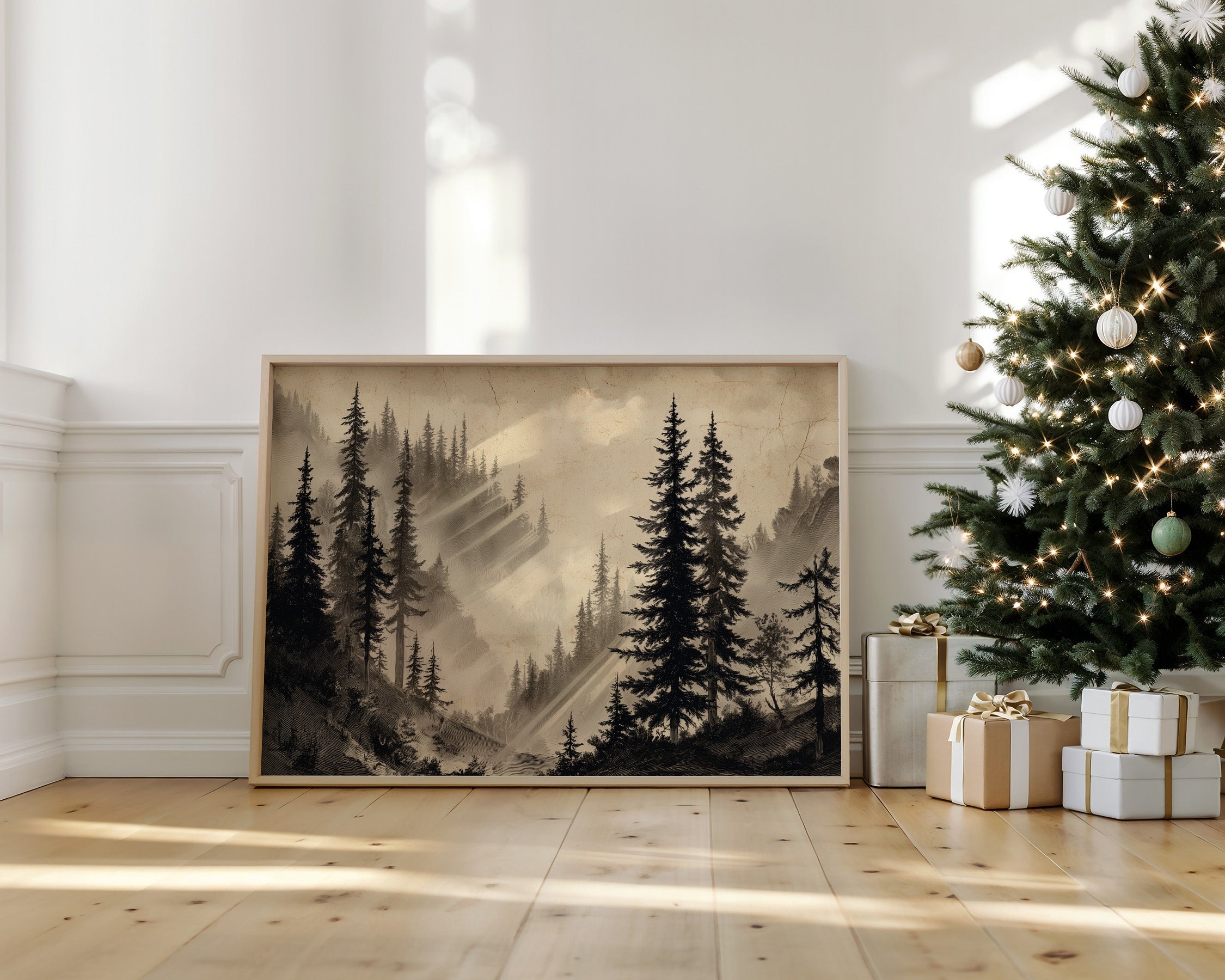 Misty Pines Catch Mountain Light