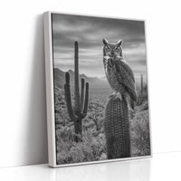 Night Watch Over Saguaro Plains