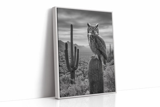Night Watch Over Saguaro Plains