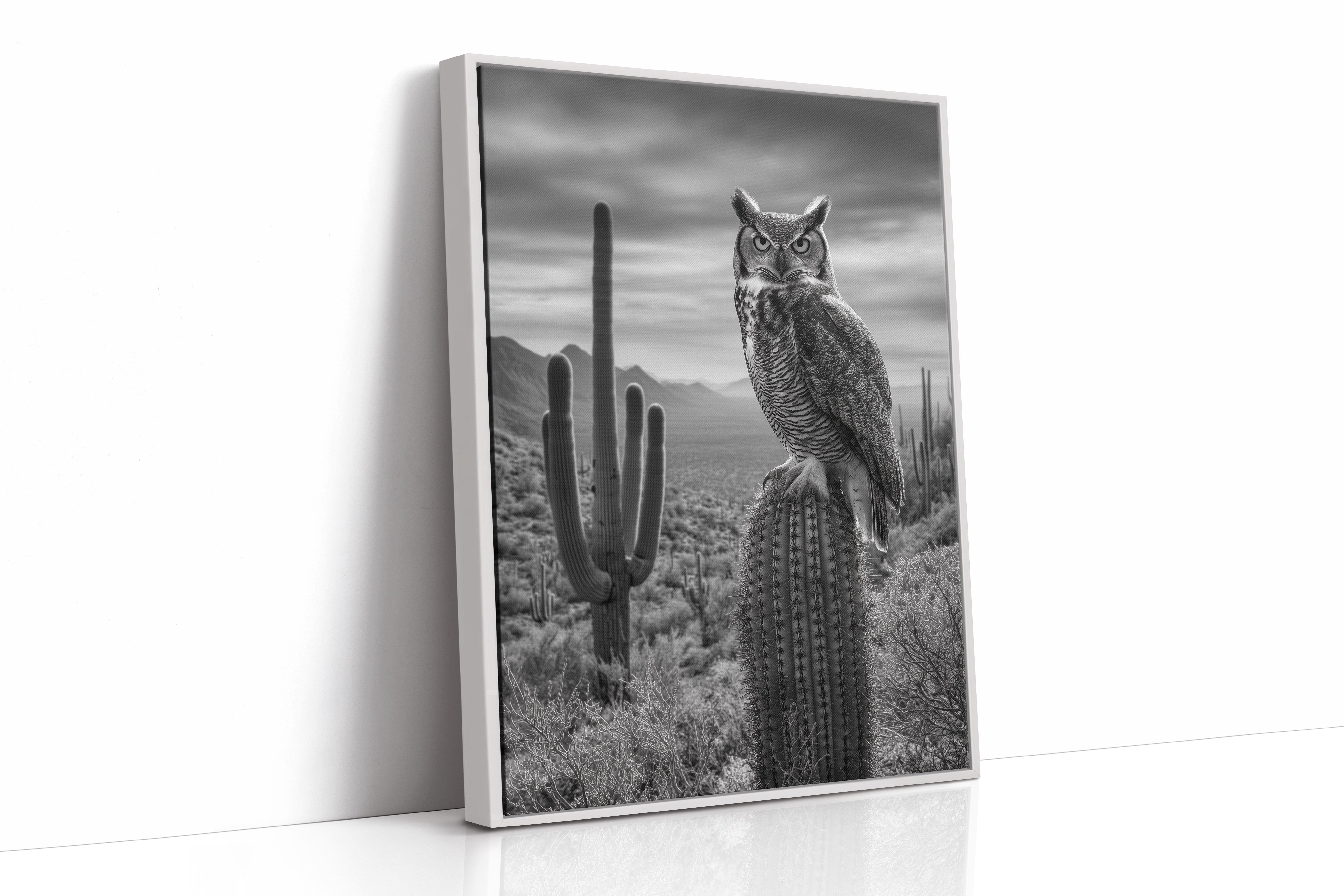 Night Watch Over Saguaro Plains
