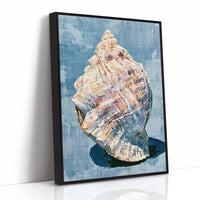 Weathered Conch, Woven Blue