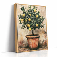 Potted Lemon Tree in Terracotta Light